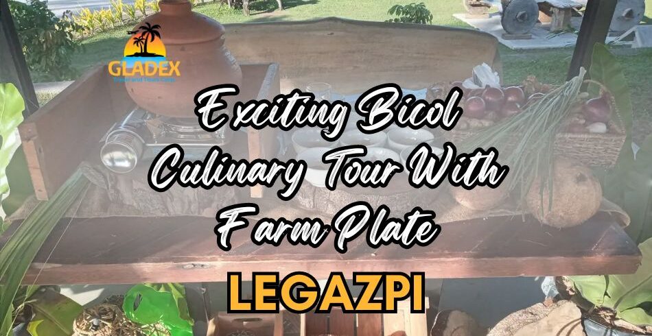 Exciting Bicol Culinary Tour In Albay With Farm Plate