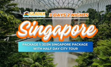 3D2N SINGAPORE PACKAGE 1: WITH HALF DAY CITY TOUR