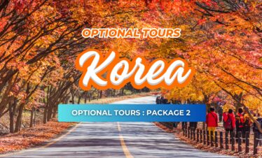 PACKAGE 2 OPTIONAL TOUR (PRIVATE TOUR) – KOREA