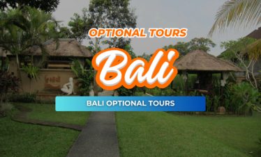 BALI OPTIONAL TOURS