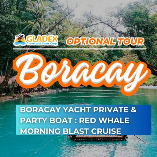 BORACAY OPTIONAL TOUR YACHT PRIVATE & PARTY BOAT: RED WHALE MORNING BLAST CRUISE